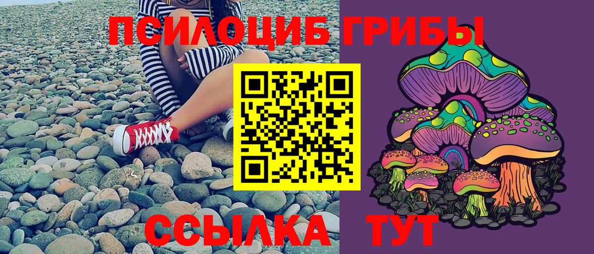 Выкса  Галлюциногенные грибы Magic Shrooms  Галлюциногенные грибы прущие грибы  Вход с VPN 